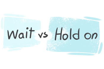 What is the difference between 'hold on' and 'wait'?