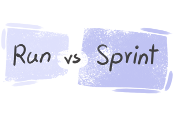 What is the difference between 'run' and 'sprint'?