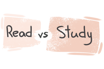 What is the difference between 'read' and 'study'?