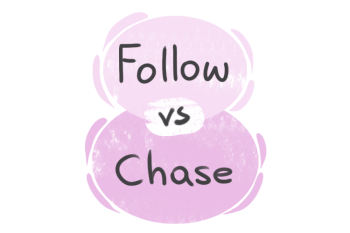 What is the difference between 'follow' and 'chase'?