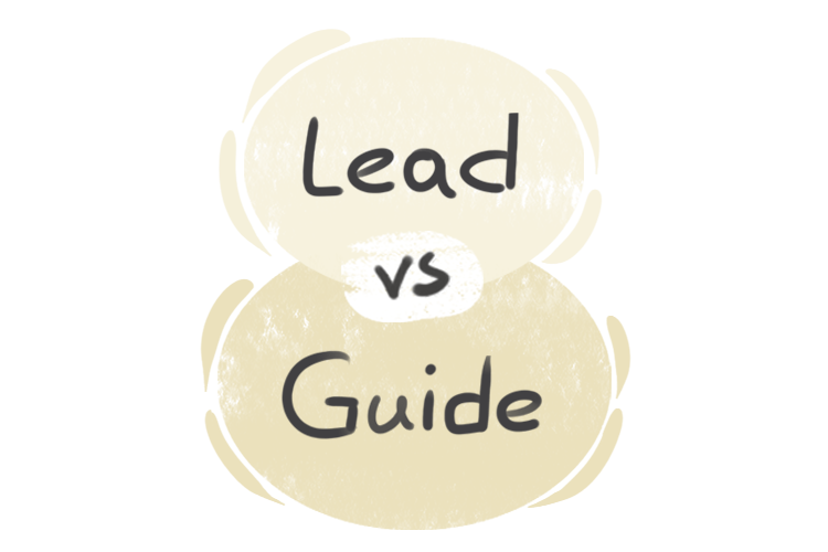 What is the difference between 'lead' and 'guide'?