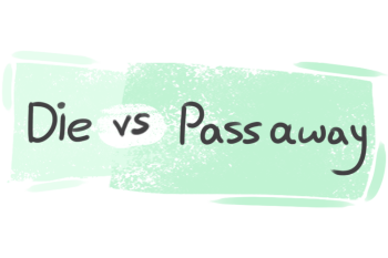 What is the difference between 'die' and 'pass away'?