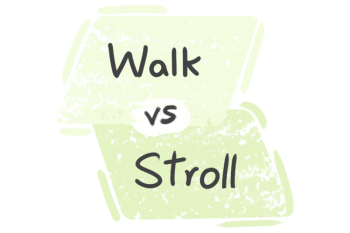 What is the difference between 'walk' and 'stroll'?