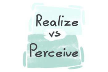 What is the difference between 'realize' and 'perceive'?