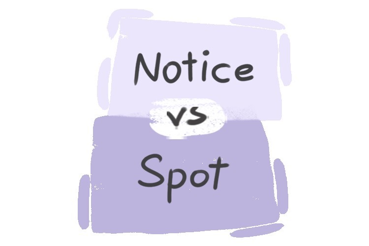 What is the difference between 'notice' and 'spot'? LanGeek