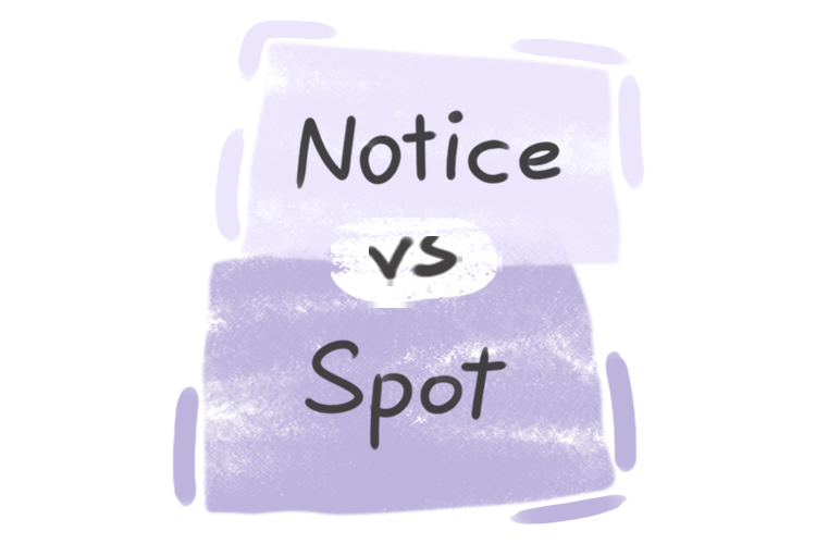 What is the difference between 'notice' and 'spot'?