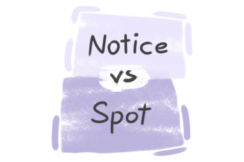 What is the difference between 'notice' and 'spot'?