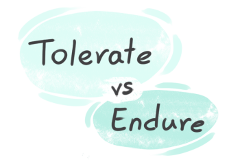 What is the difference between 'tolerate' and 'endure'?