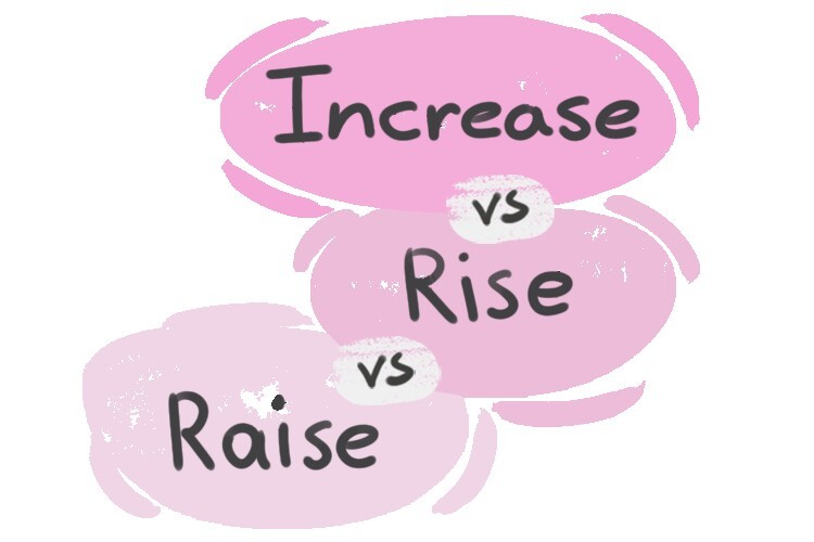 https://cdn.langeek.co/photo/43831/original/increase-vs-raise-vs-rise