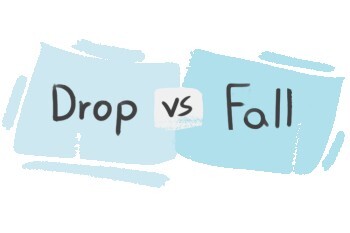 What is the difference between ‘drop’ and ‘fall’? | LanGeek