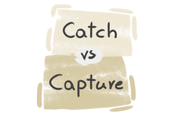What is the difference between 'catch' and 'capture'?