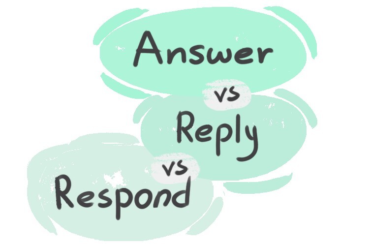 what-is-the-difference-between-answer-and-reply-and-respond