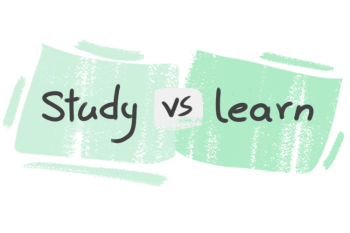 What is the difference between 'study' and 'learn'?