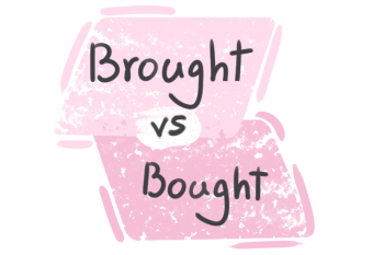 "Brought" vs. "Bought" in the English Grammar
