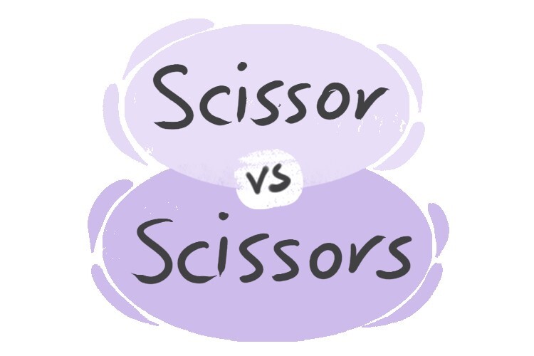 Plural of store scissors