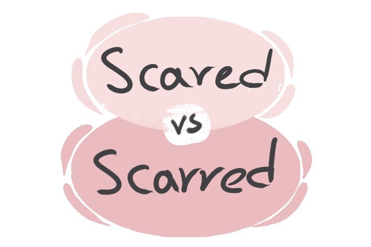 scared-vs-scarred-in-english-langeek