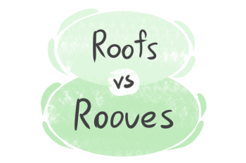 "Roofs" vs. "Rooves" in the English Grammar