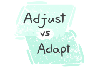 What is the difference between 'adjust' and 'adapt'?