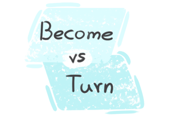 What is the difference between 'become' and 'turn'?