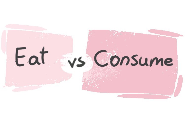 What is the difference between 'eat' and 'consume'? LanGeek