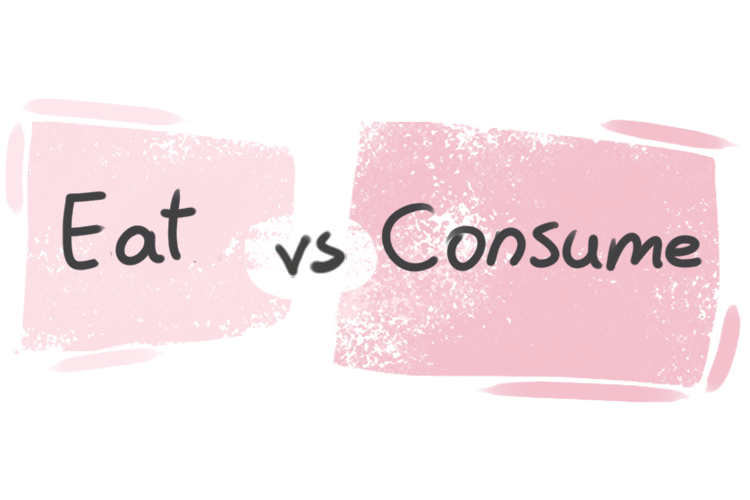 What is the difference between 'eat' and 'consume'?