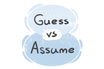What is the difference between 'guess' and 'assume'?