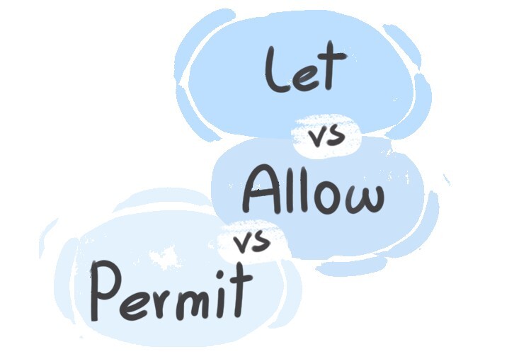 What is the difference between 'let' and 'allow' and 'permit