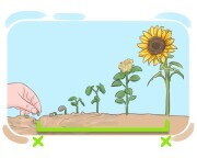 (in|over) the long run