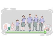 from (the|) cradle to (the|) grave