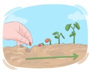 to [run|take] its course