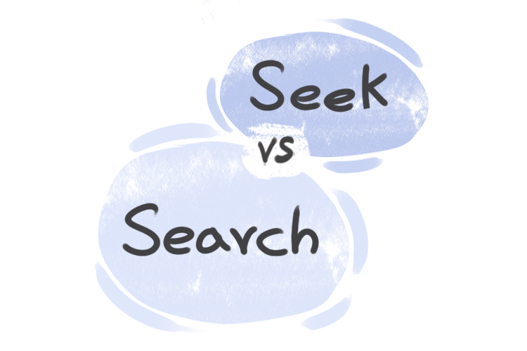 Find vs Seek: Giải thích chi tiết và cách sử dụng từ vựng trong tiếng Anh