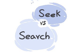 What is the difference between 'seek' and 'search'? | LanGeek