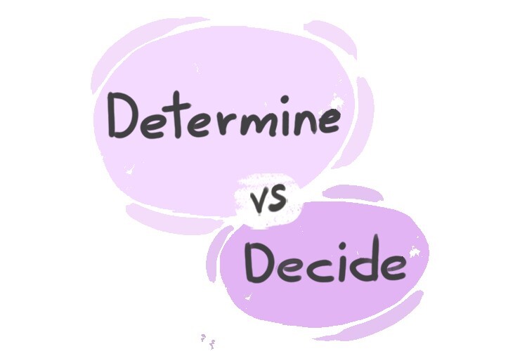 what-is-the-difference-between-decide-and-determine-langeek