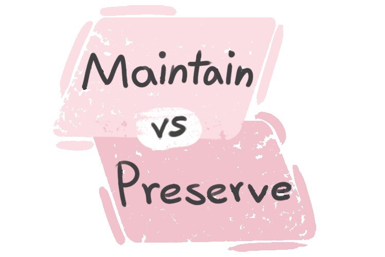 What is the difference between maintain and preserve langeek