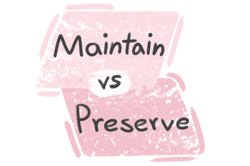 What is the difference between 'maintain' and 'preserve'?
