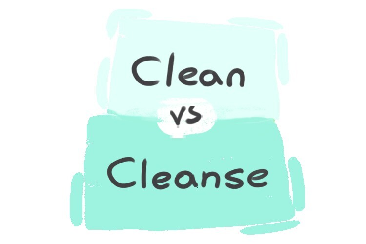 Clean cleanse store