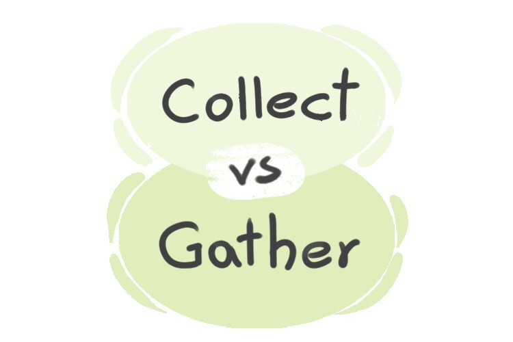 What is the difference between 'collect' and 'gather'? | LanGeek