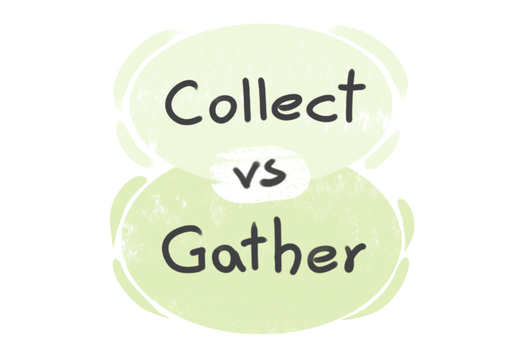 What is the difference between 'collect' and 'gather'?