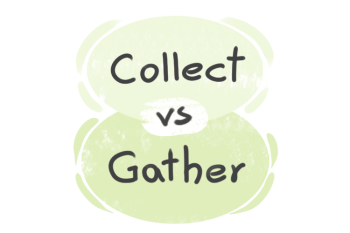 What is the difference between 'collect' and 'gather'?