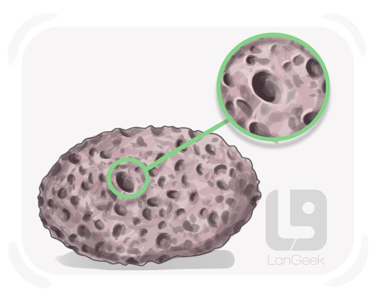 porous definition and meaning