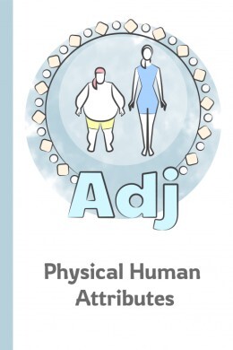 Categorized English Adjectives of Physical Human Attributes