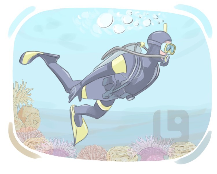 Definition & Meaning of "Snorkel" LanGeek