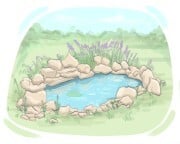 pond