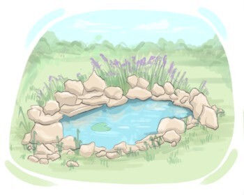 pond