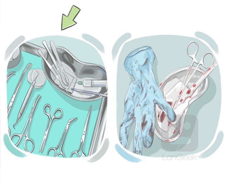 sterile definition and meaning