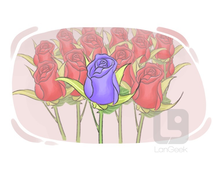 Definition & Meaning of "Unmatched" LanGeek