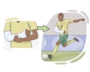 to {not} [count] {one's} chickens