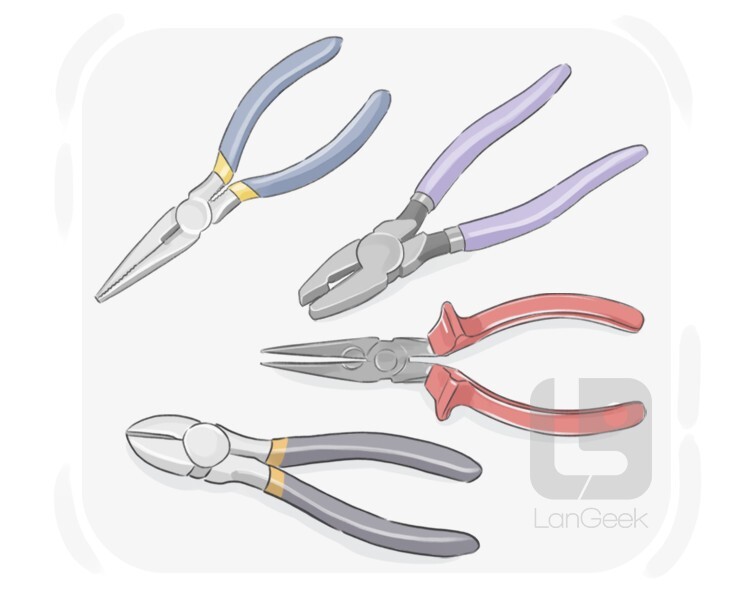 Definition & Meaning of "Pliers" LanGeek