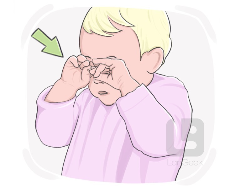 Definition & Meaning of "Rub" | LanGeek