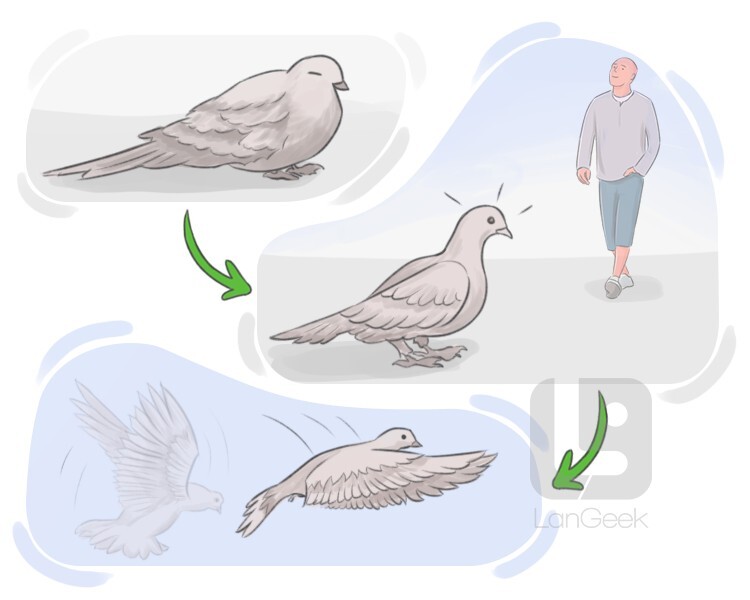 Definition & Meaning of "Alarm" LanGeek